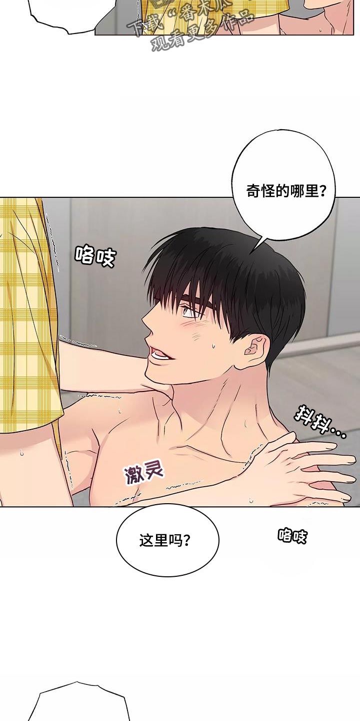 第51章：第一次见面1