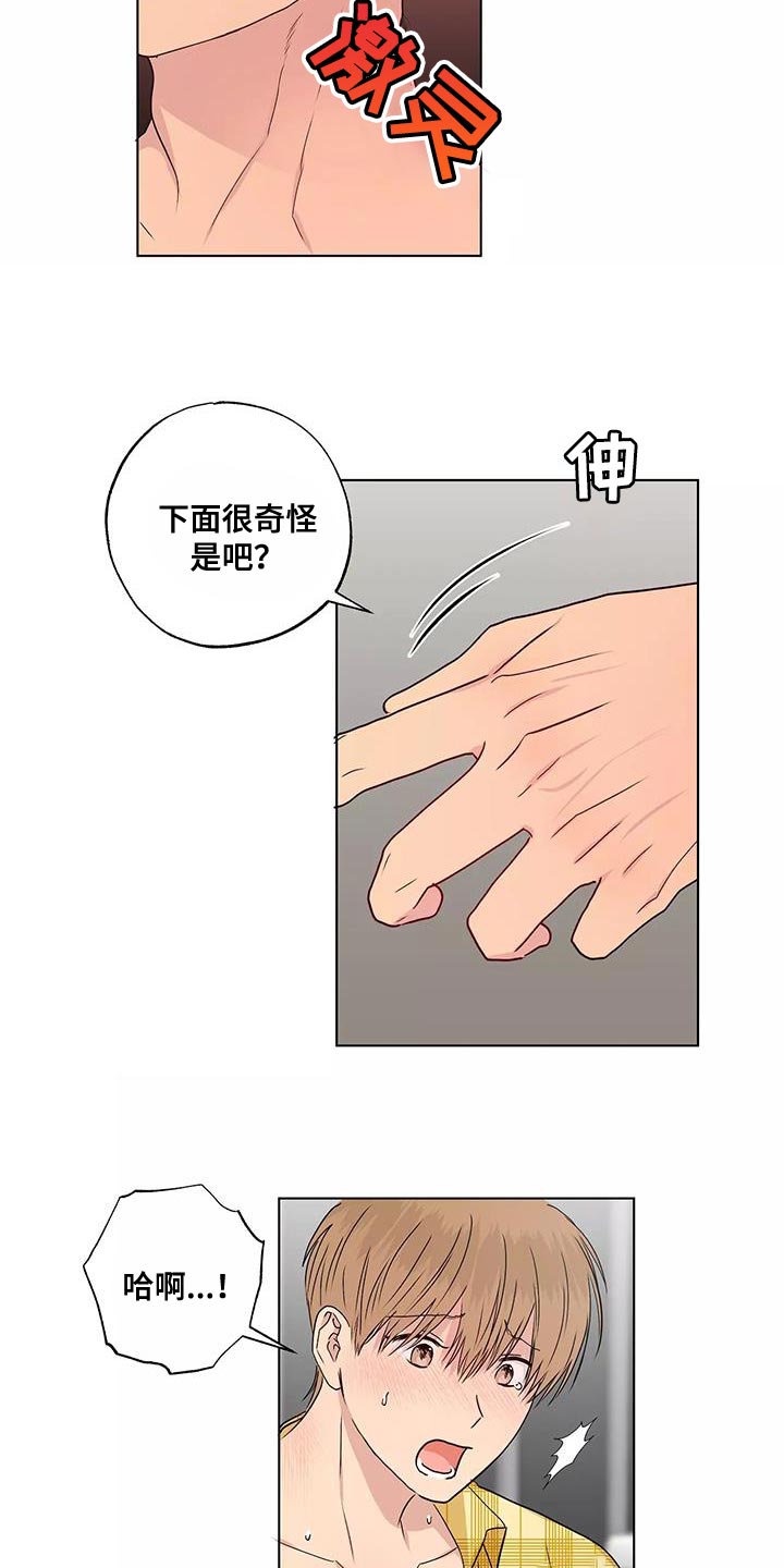 第51章：第一次见面4