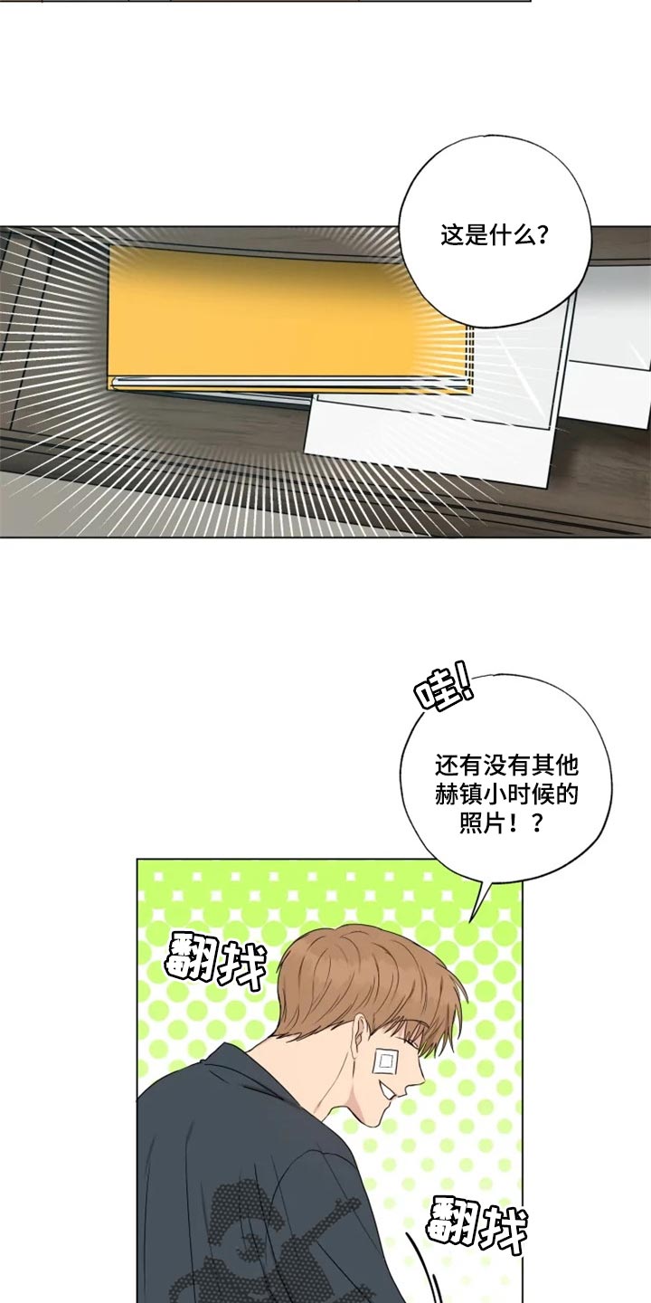 第19章：信息材料12