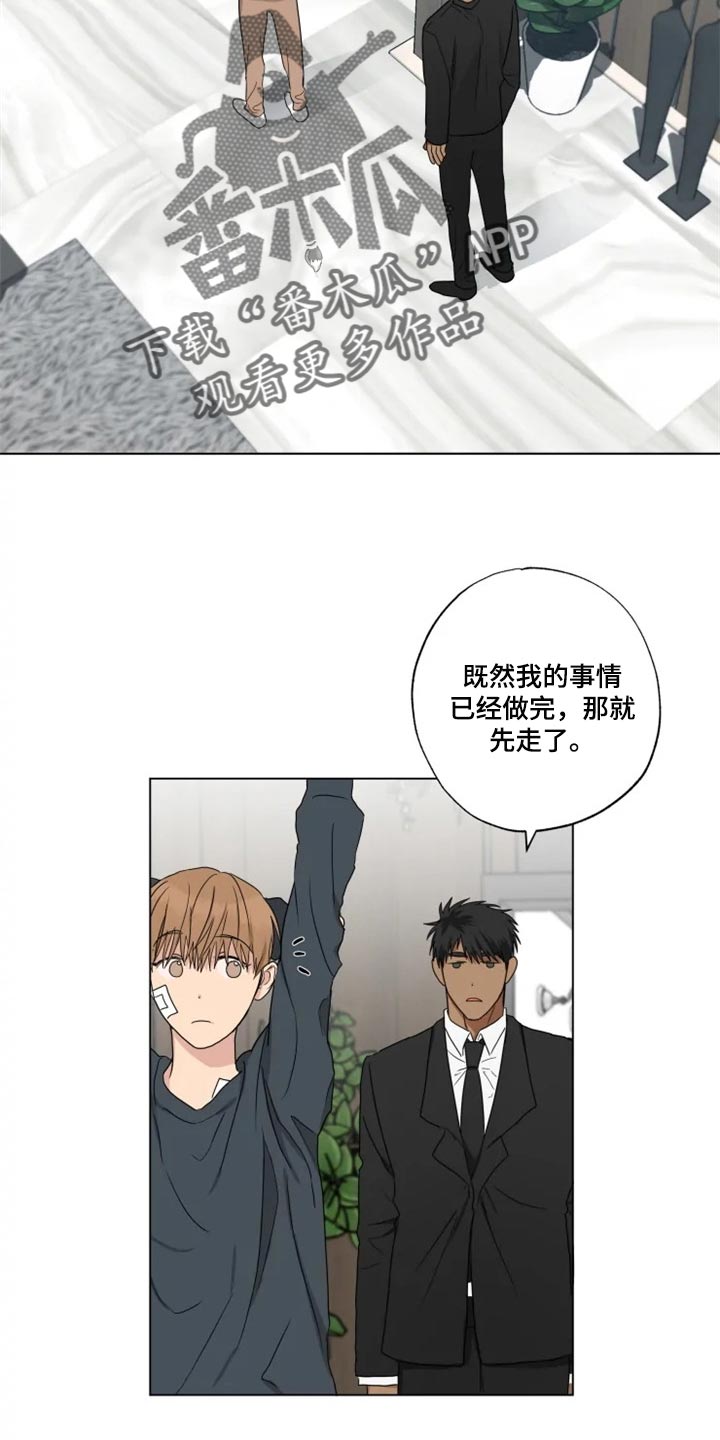 第19章：信息材料1
