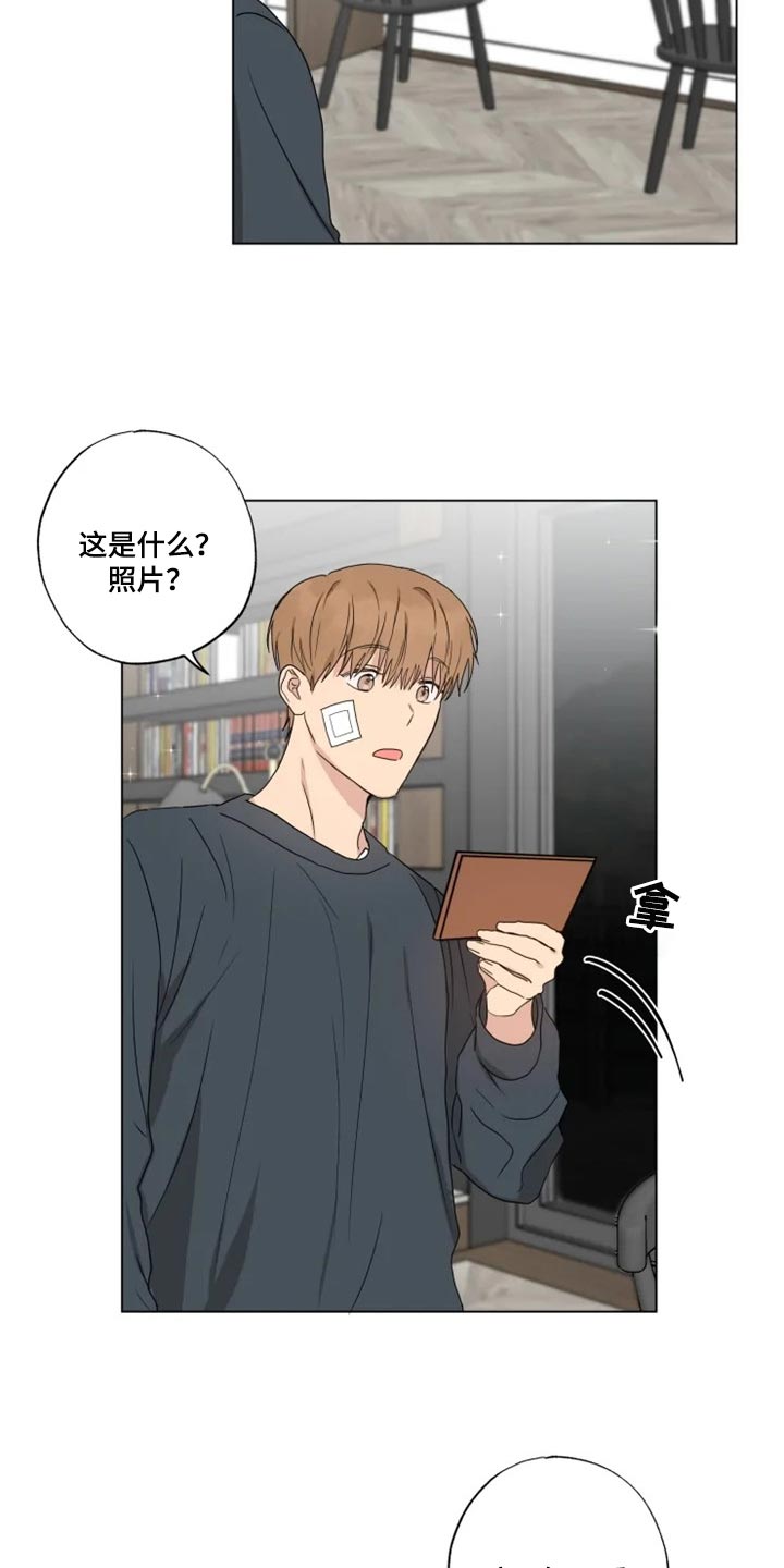 第19章：信息材料7