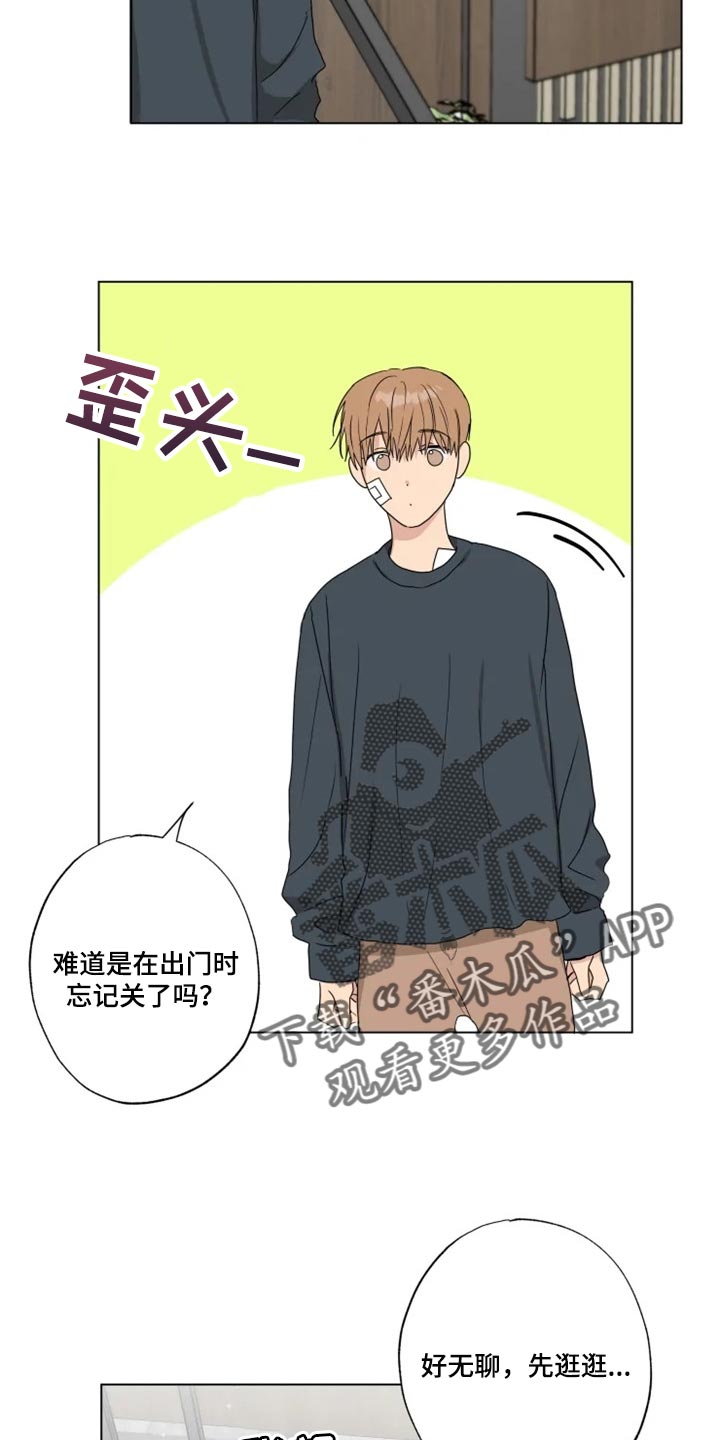第19章：信息材料5