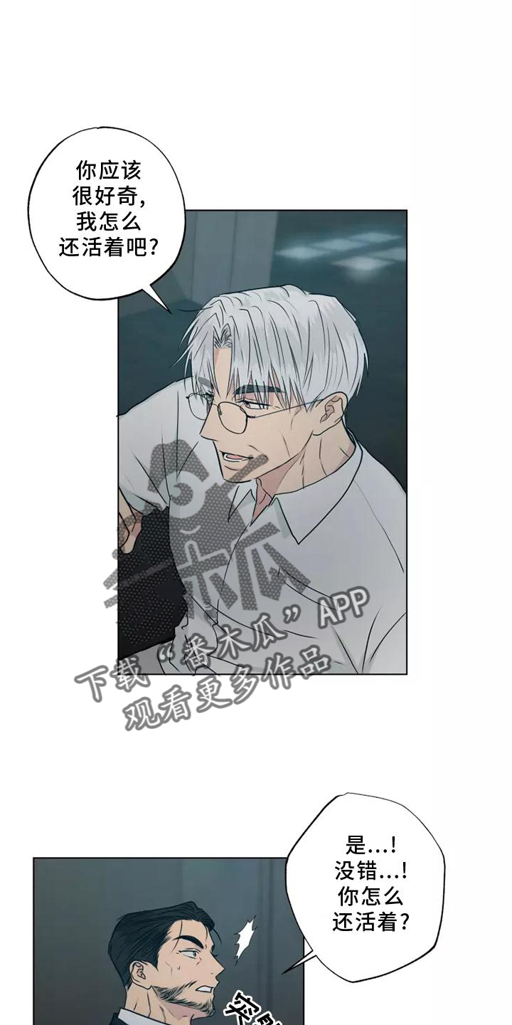第46章：老熟人15