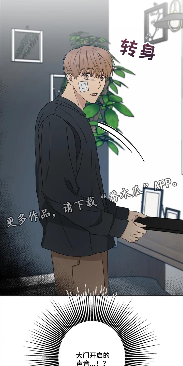 第19章：信息材料23