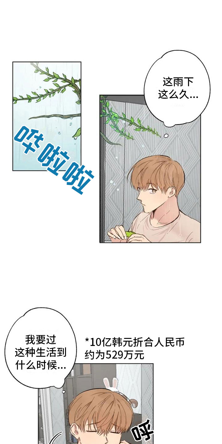 第1章：雨中来客9