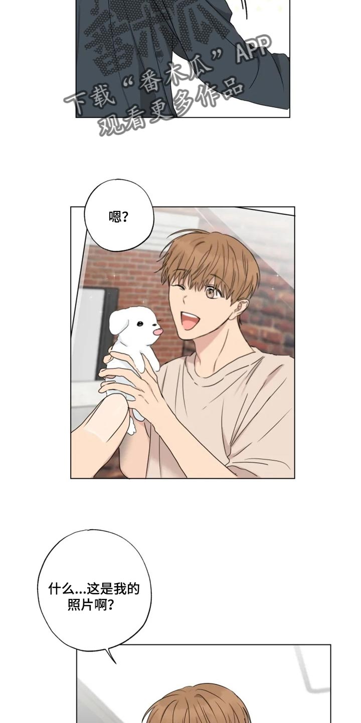 第19章：信息材料13