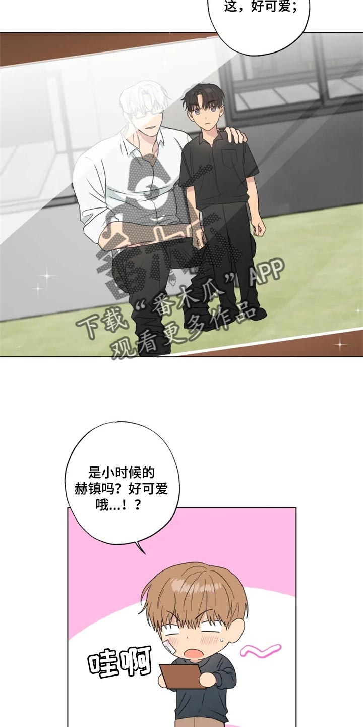 第19章：信息材料8