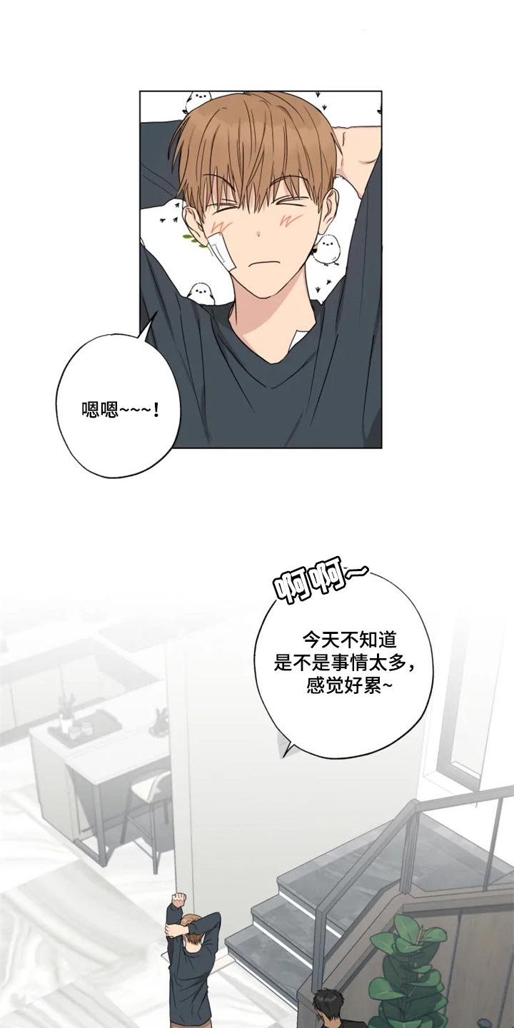 第19章：信息材料0