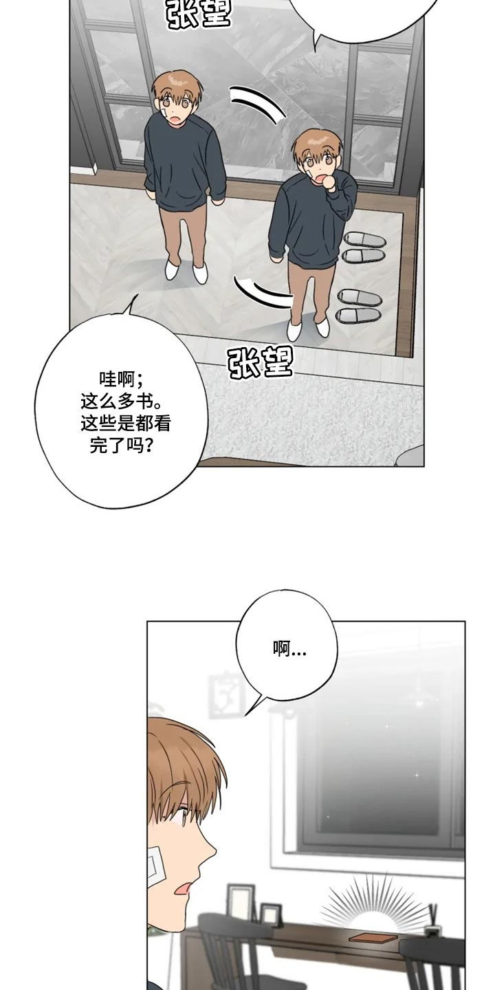 第19章：信息材料6