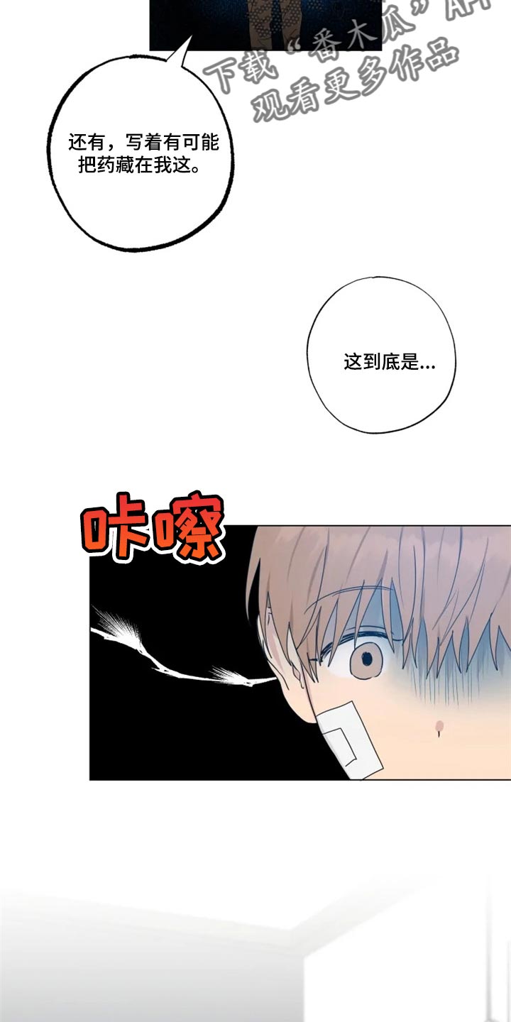 第19章：信息材料22