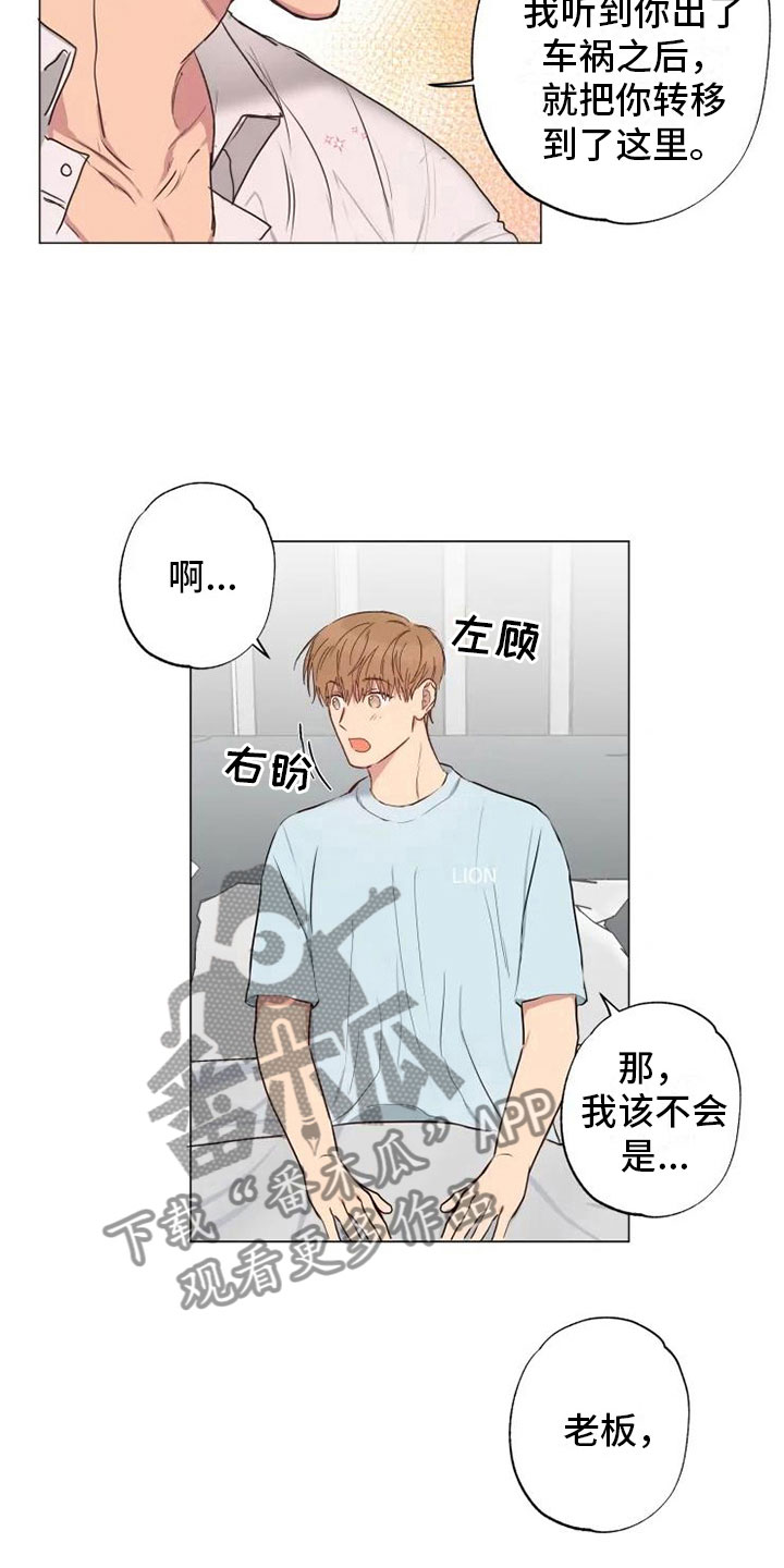 第11章：带回家了8