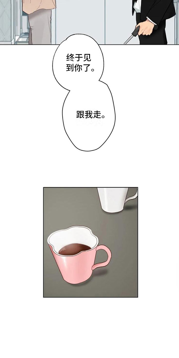 第1章：雨中来客15