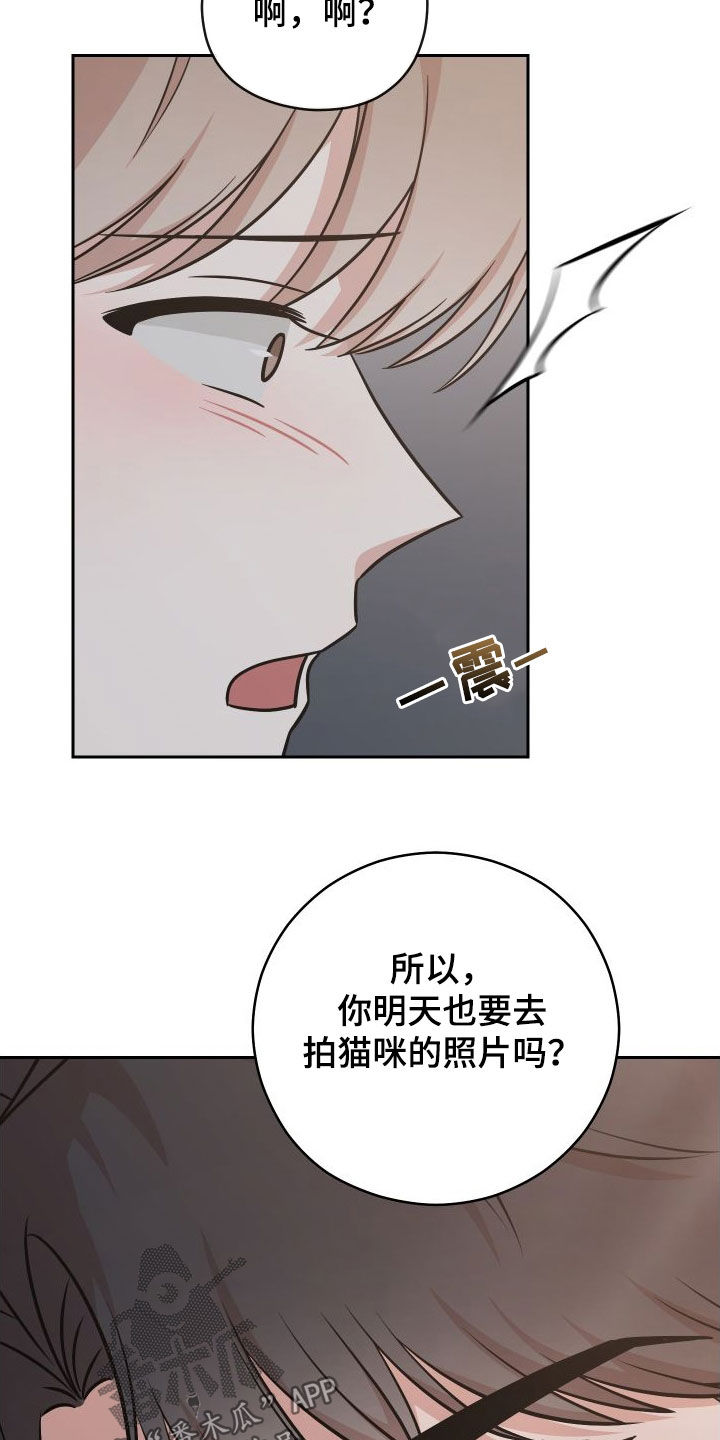 第15章：照片12