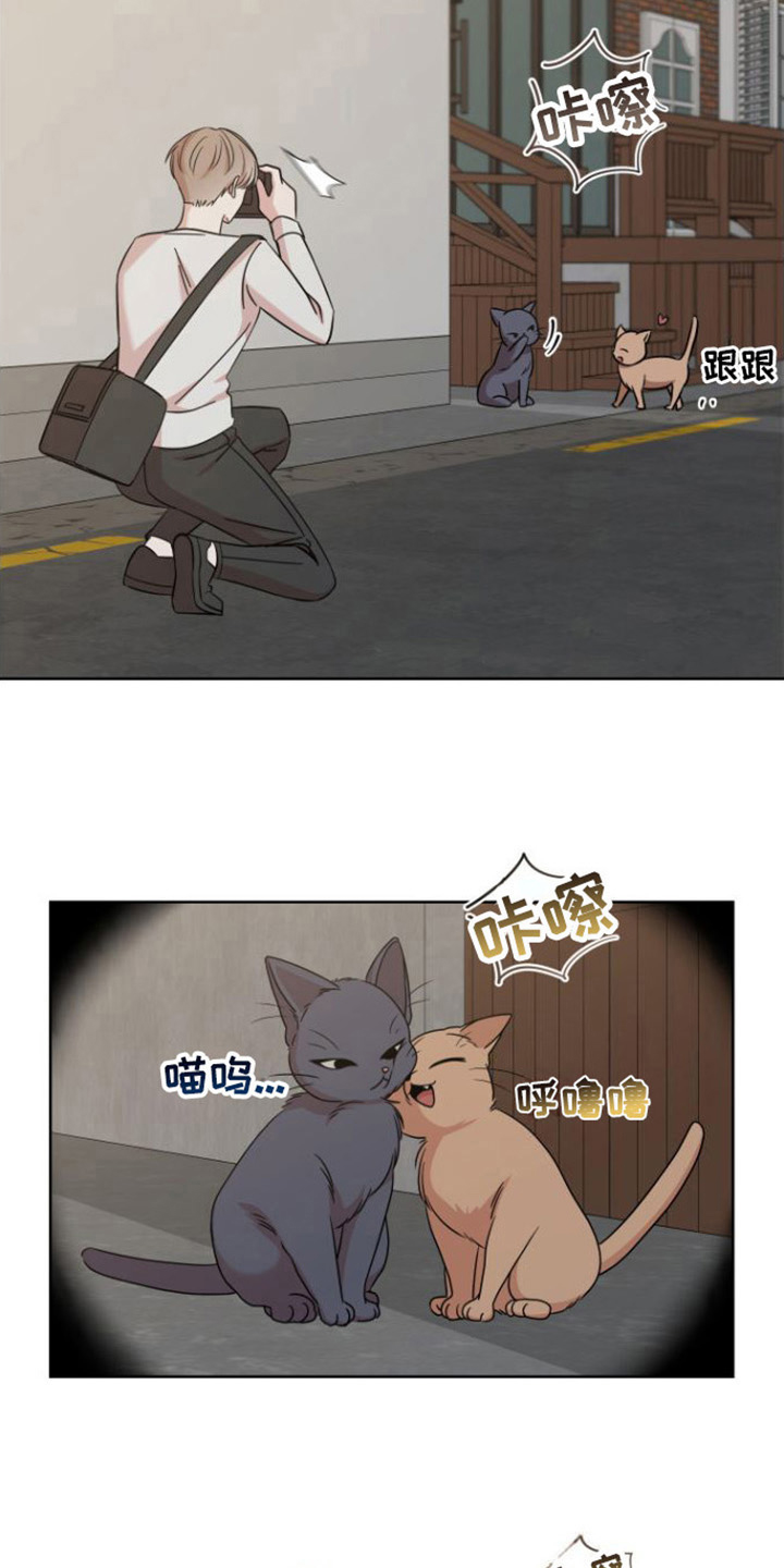 第11章：登门1
