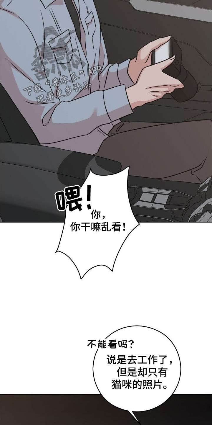 第15章：照片5