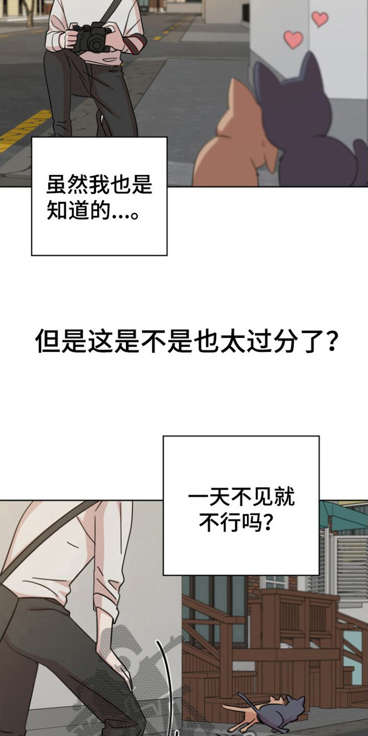 第11章：登门5