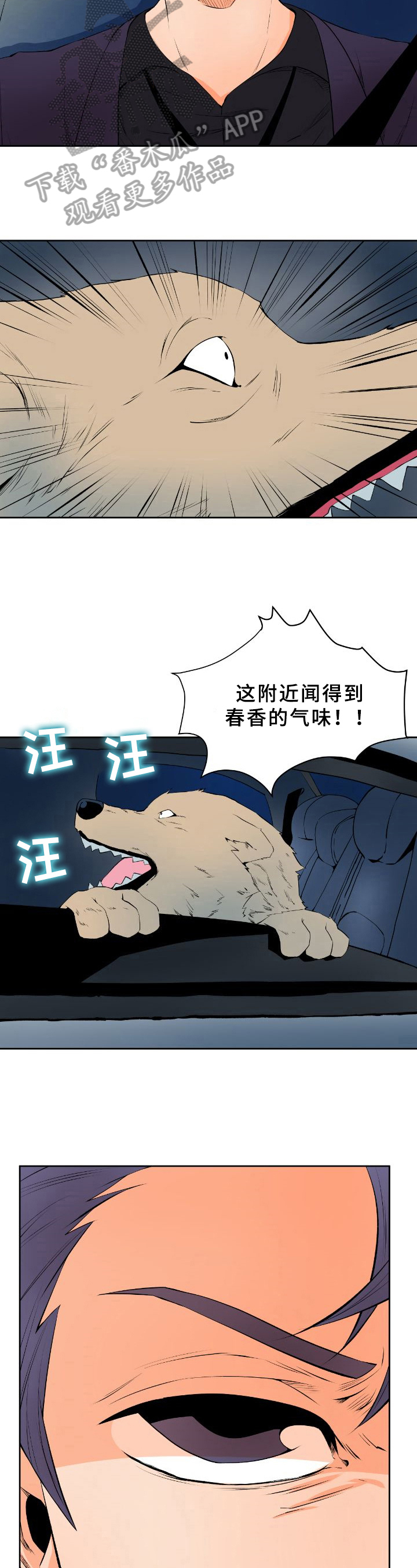 第18章：寻踪2