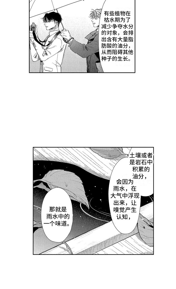 第12章：雨水味14