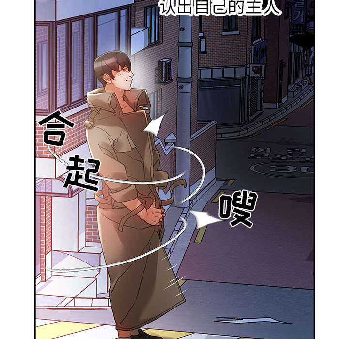 第13章：报答45