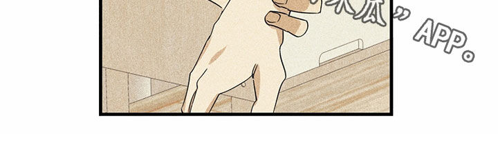 第25章：别在意21