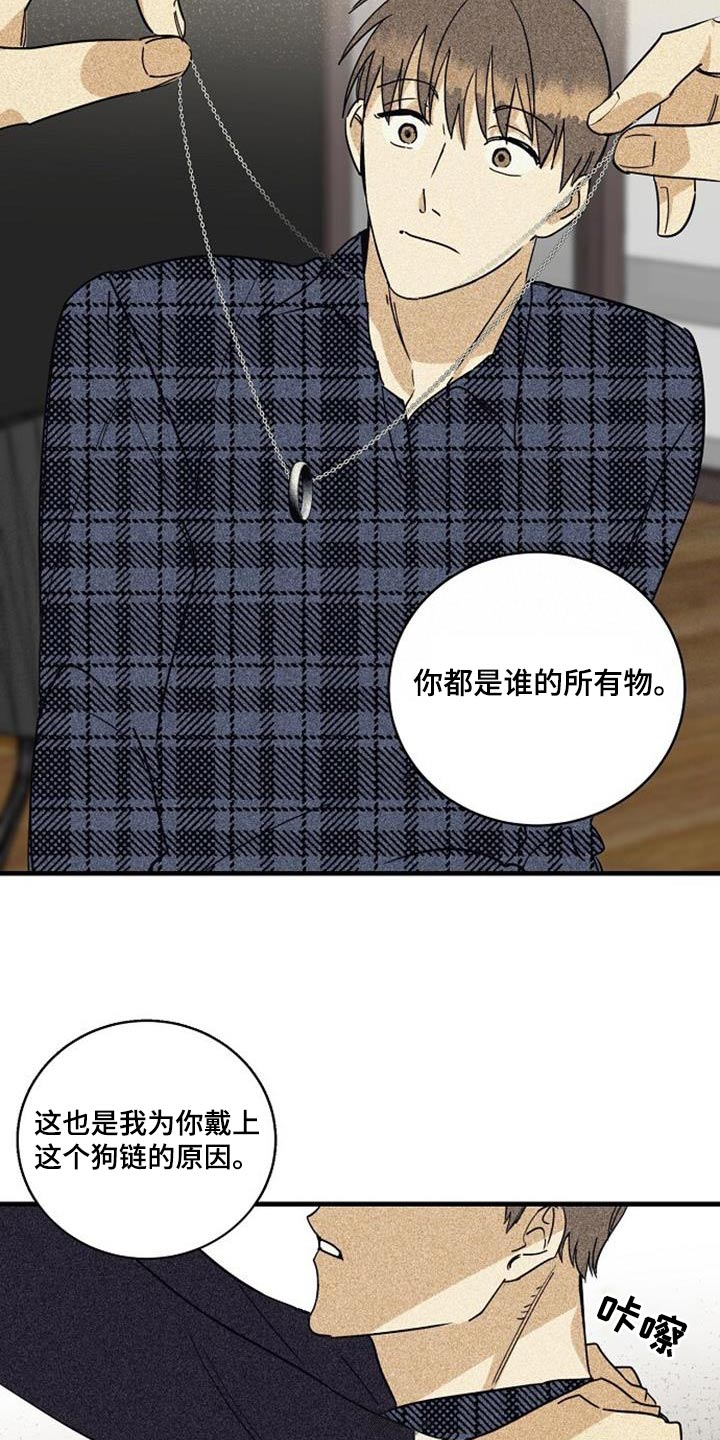 第58章：项链12