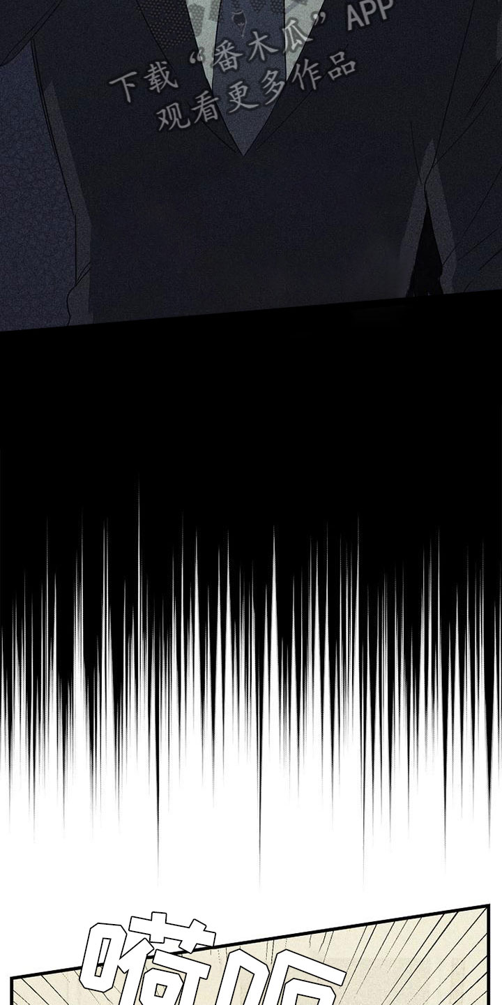 第17章：没联系17
