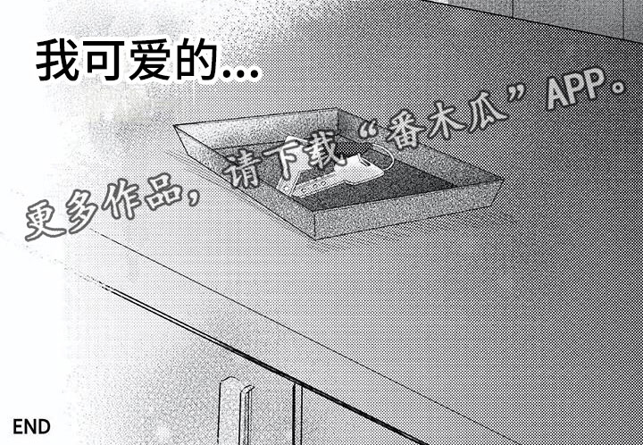 第24章：可爱的8