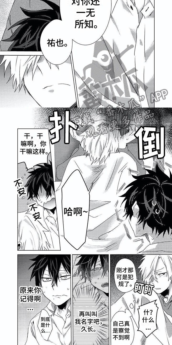 第9章：一见钟情5
