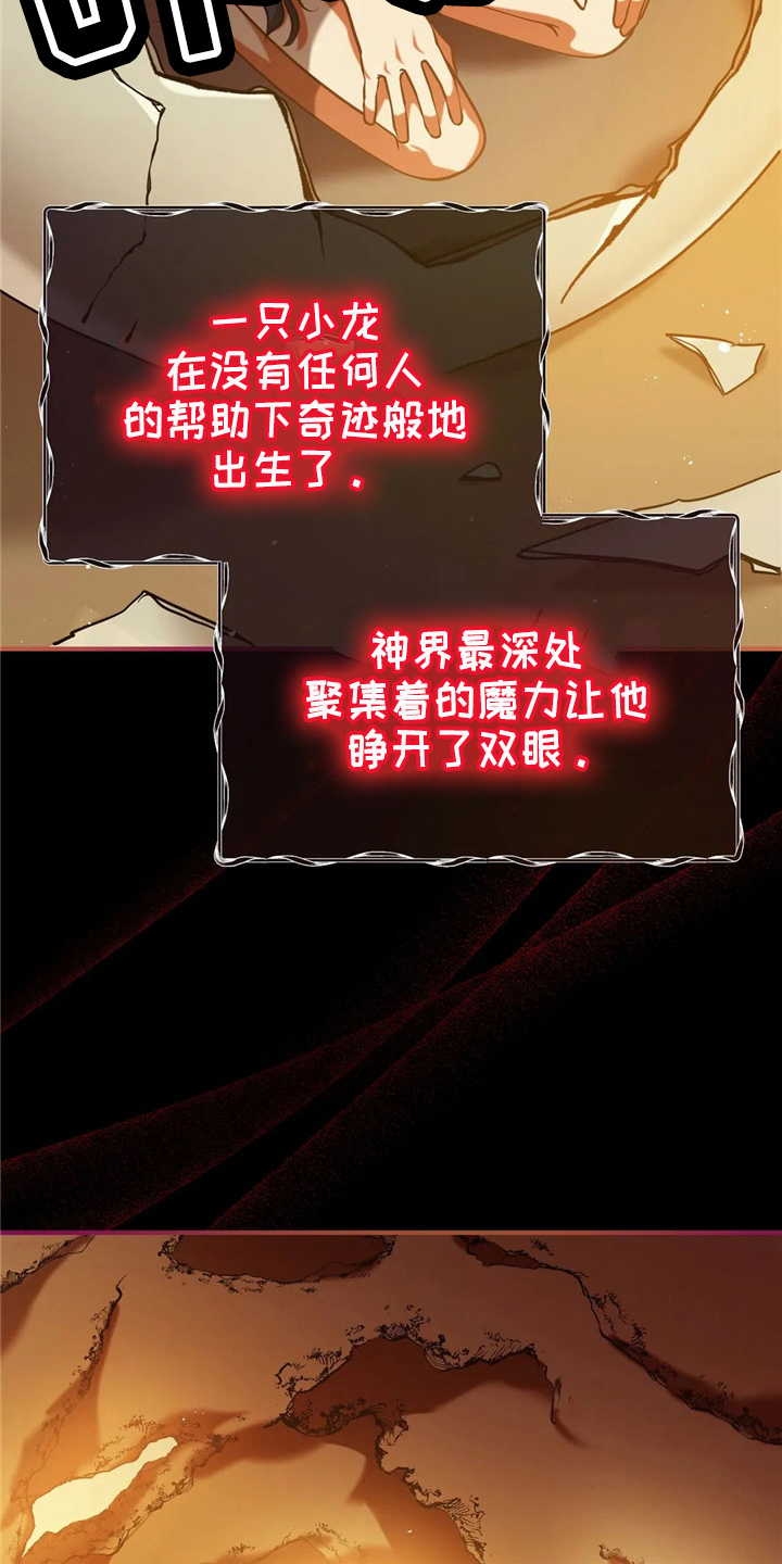 第58章：龙3
