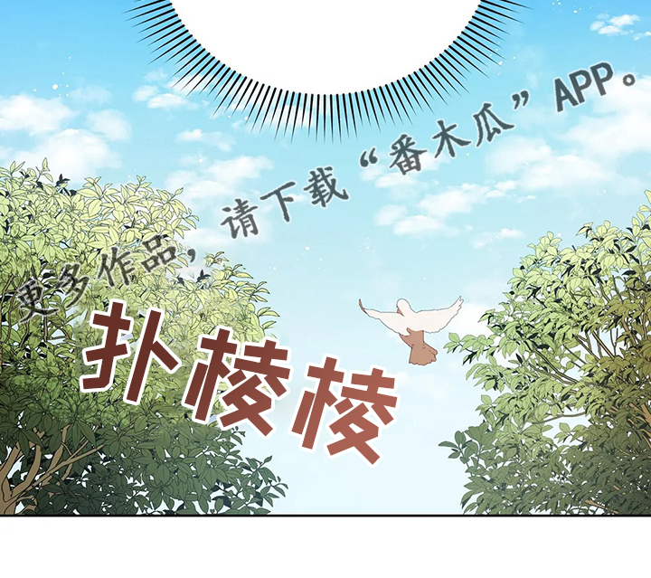 第29章：甩锅29