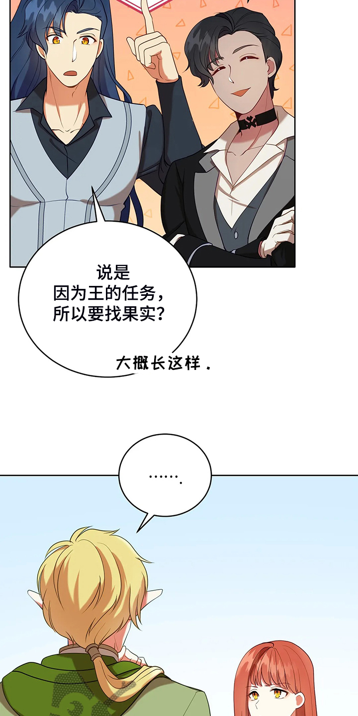 第36章：去往精灵界28