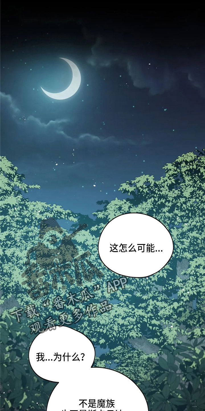 第54章：帮帮我0