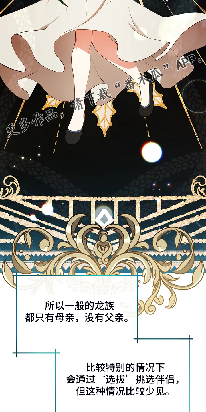 第23章：我来负责15