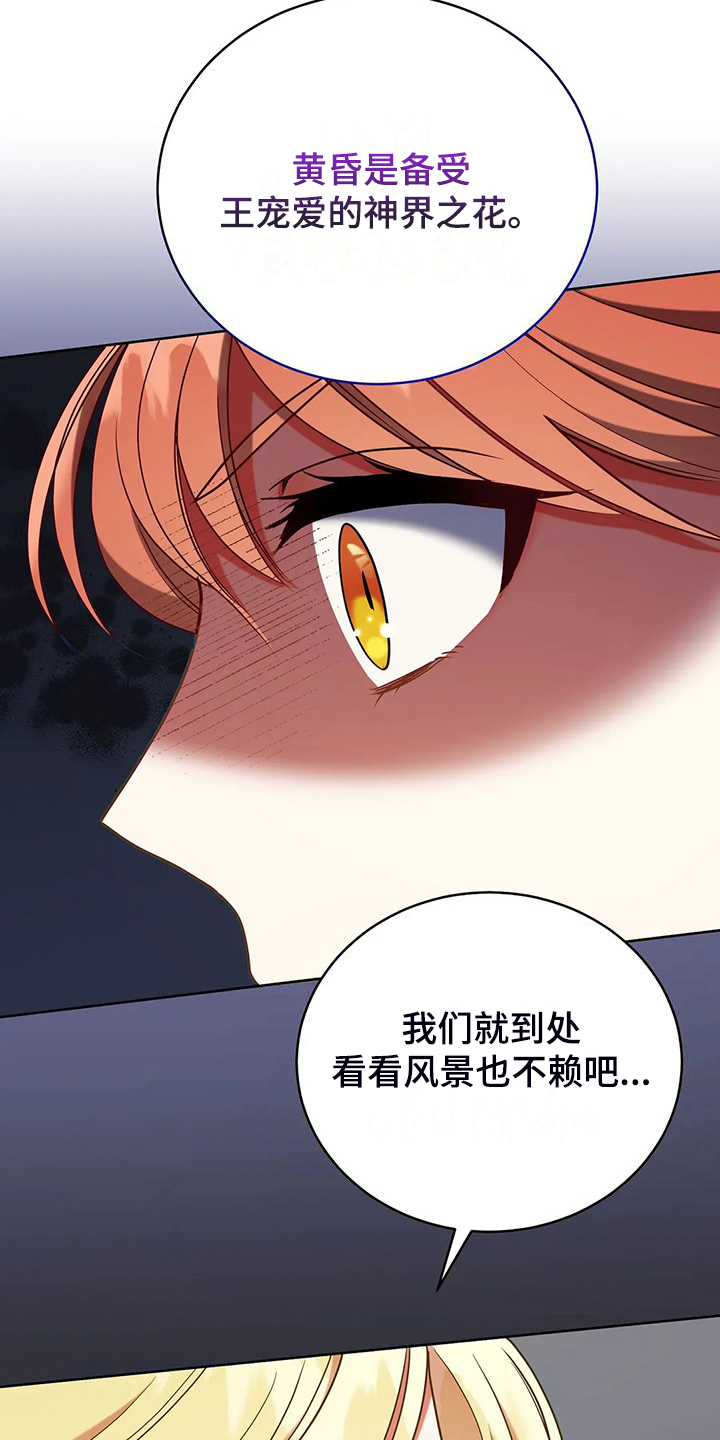 第47章：迷路了11