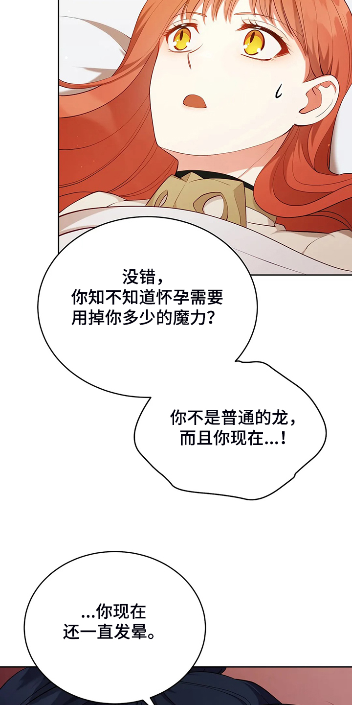 第22章：怀孕了23