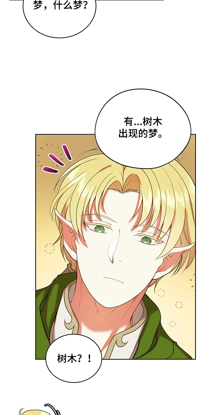 第36章：去往精灵界8