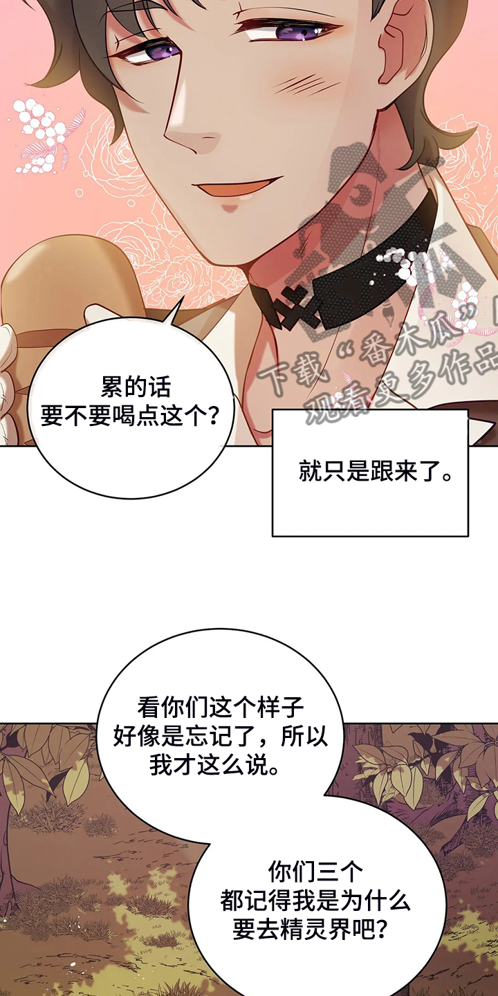 第36章：去往精灵界26