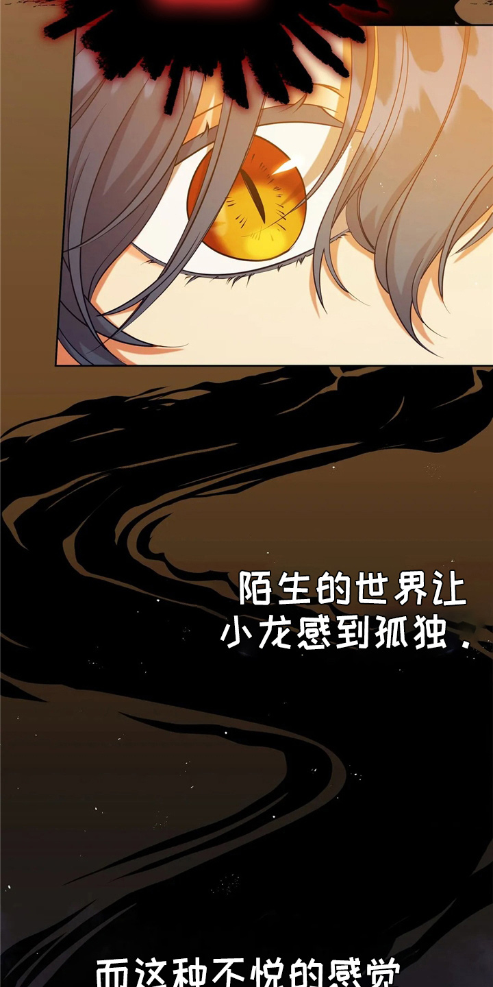 第58章：龙5