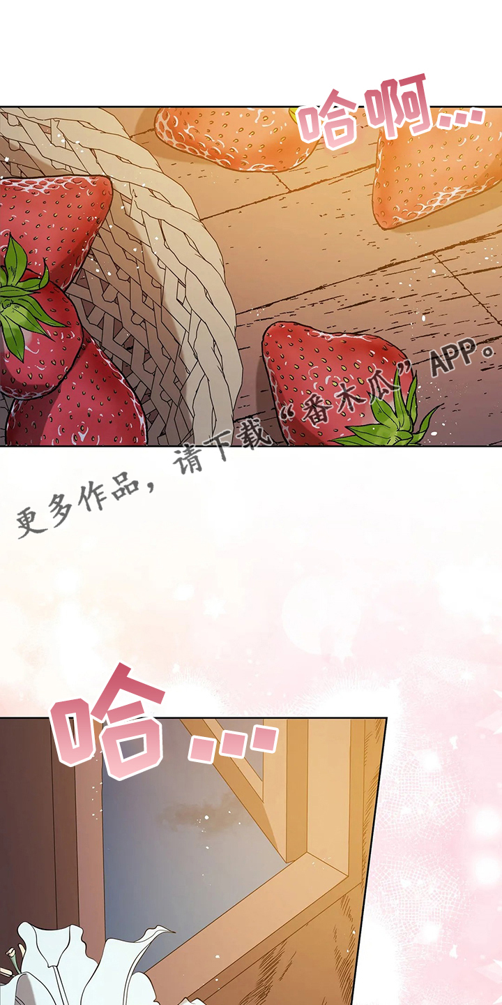 第40章：精灵界碎片0