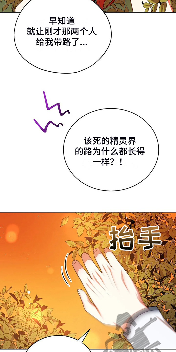 第47章：迷路了5