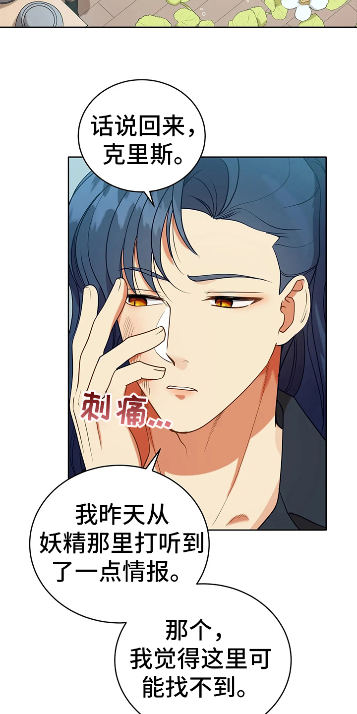 第40章：精灵界碎片28