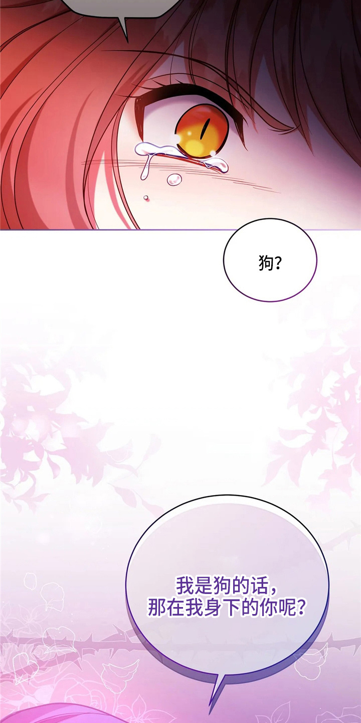 第54章：帮帮我34