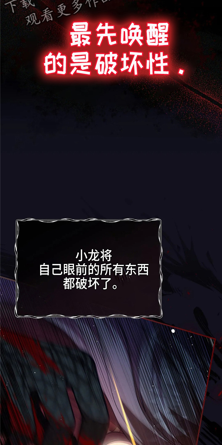 第58章：龙7
