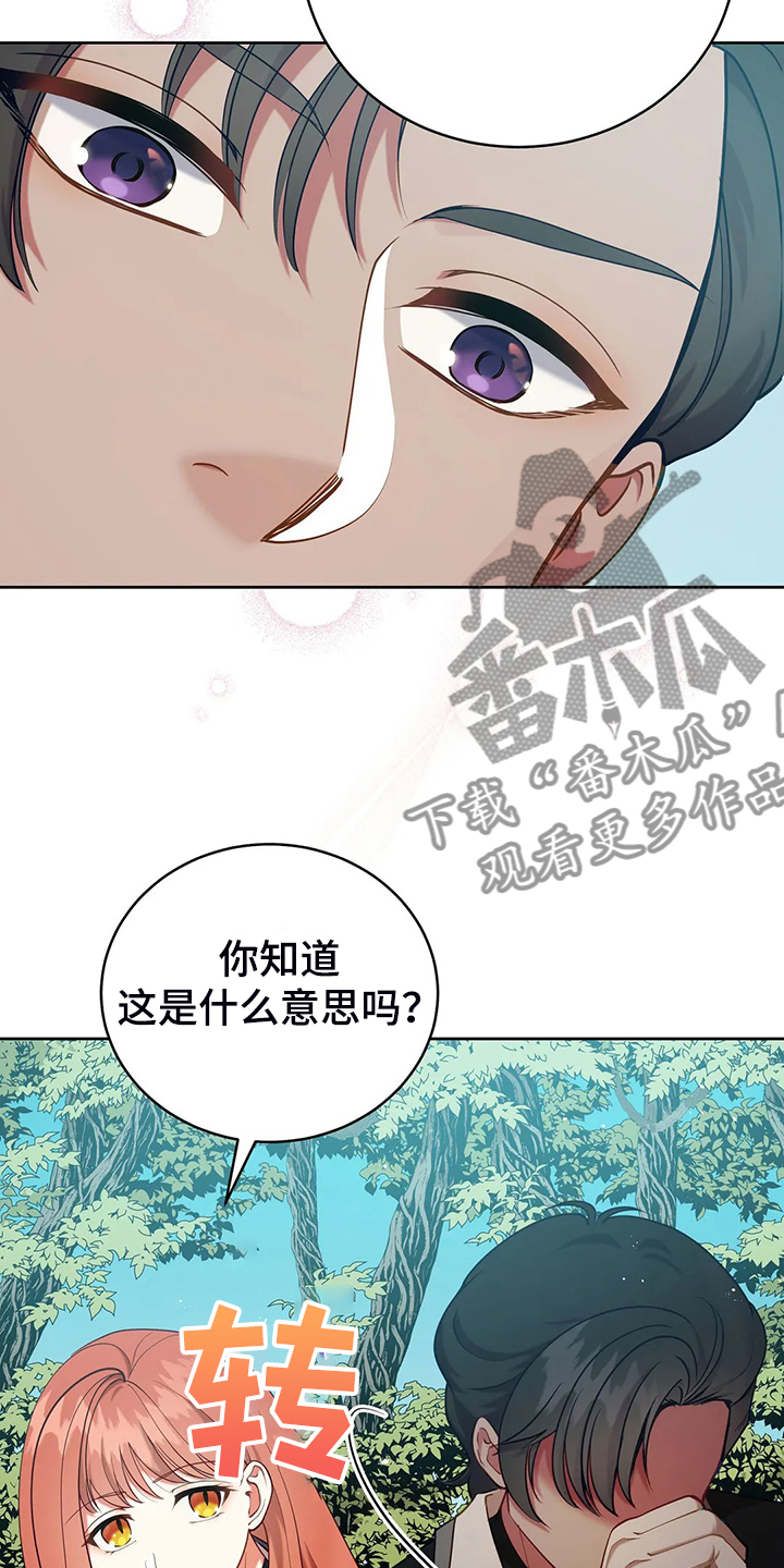 第43章：发生了什么16
