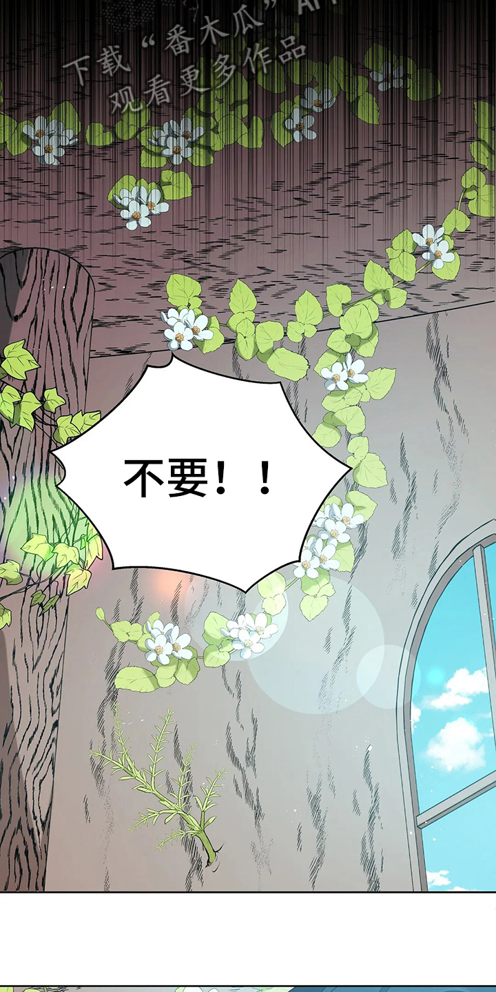 第40章：精灵界碎片22