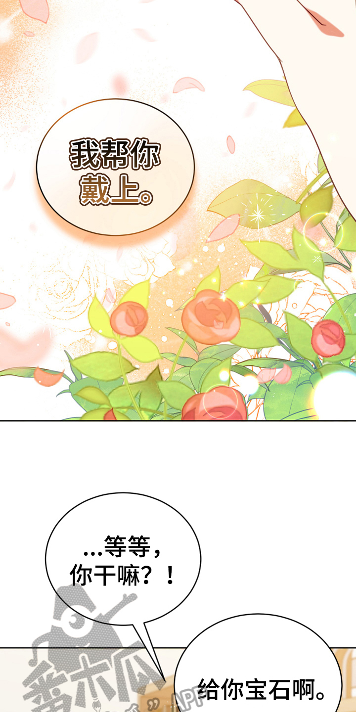 第19章：提议4
