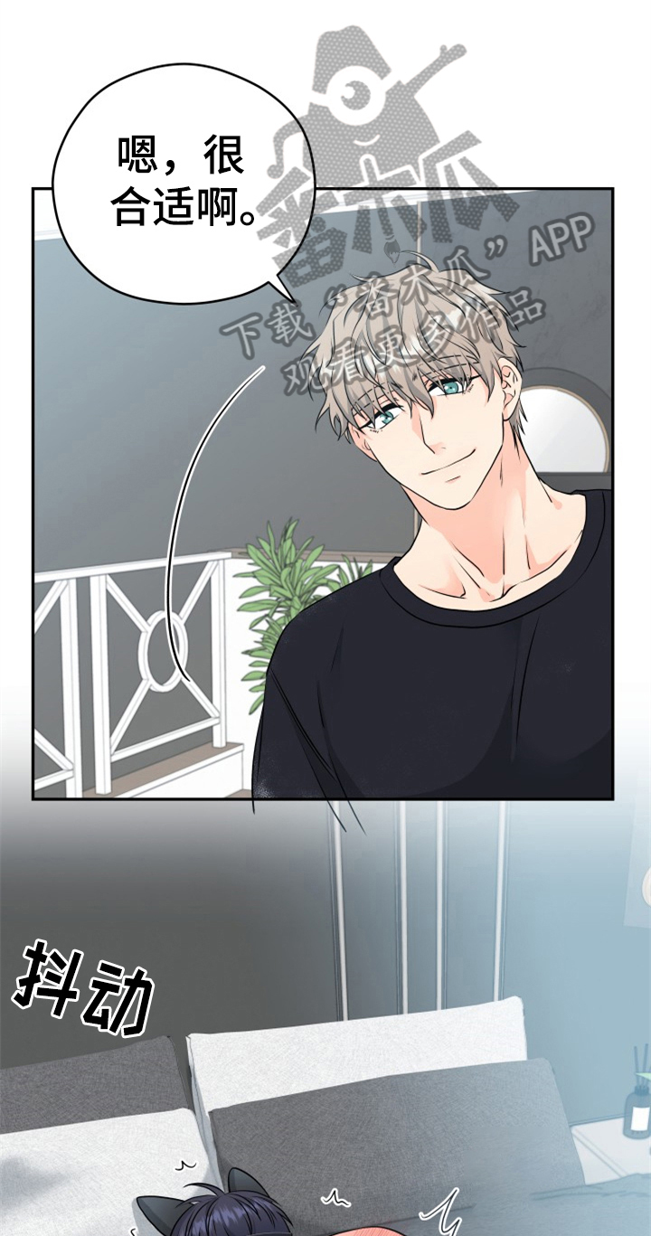 第11章：合适0