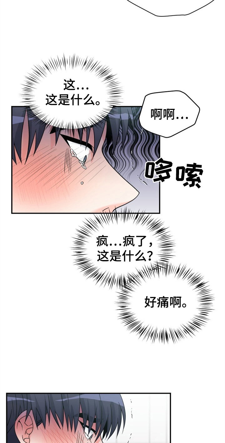 第6章：喜欢19