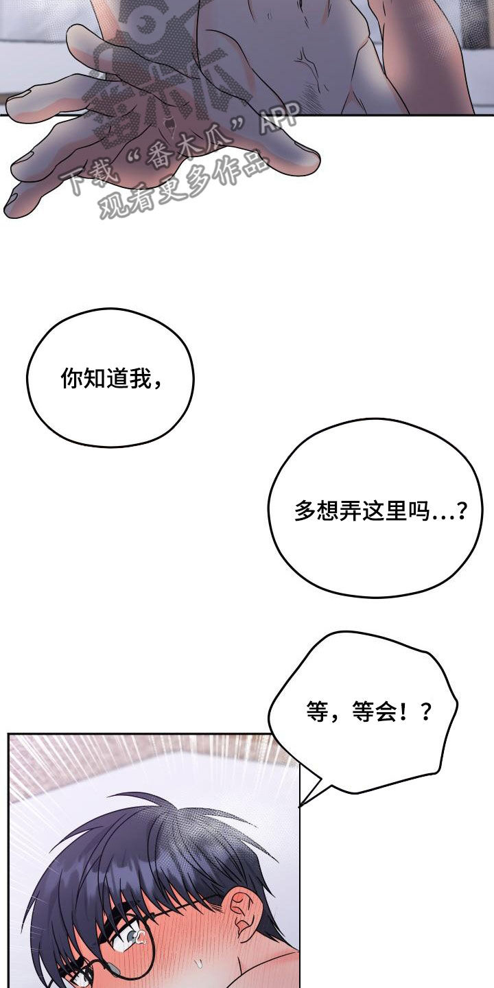 第56章：【番外完结】幸福的事11