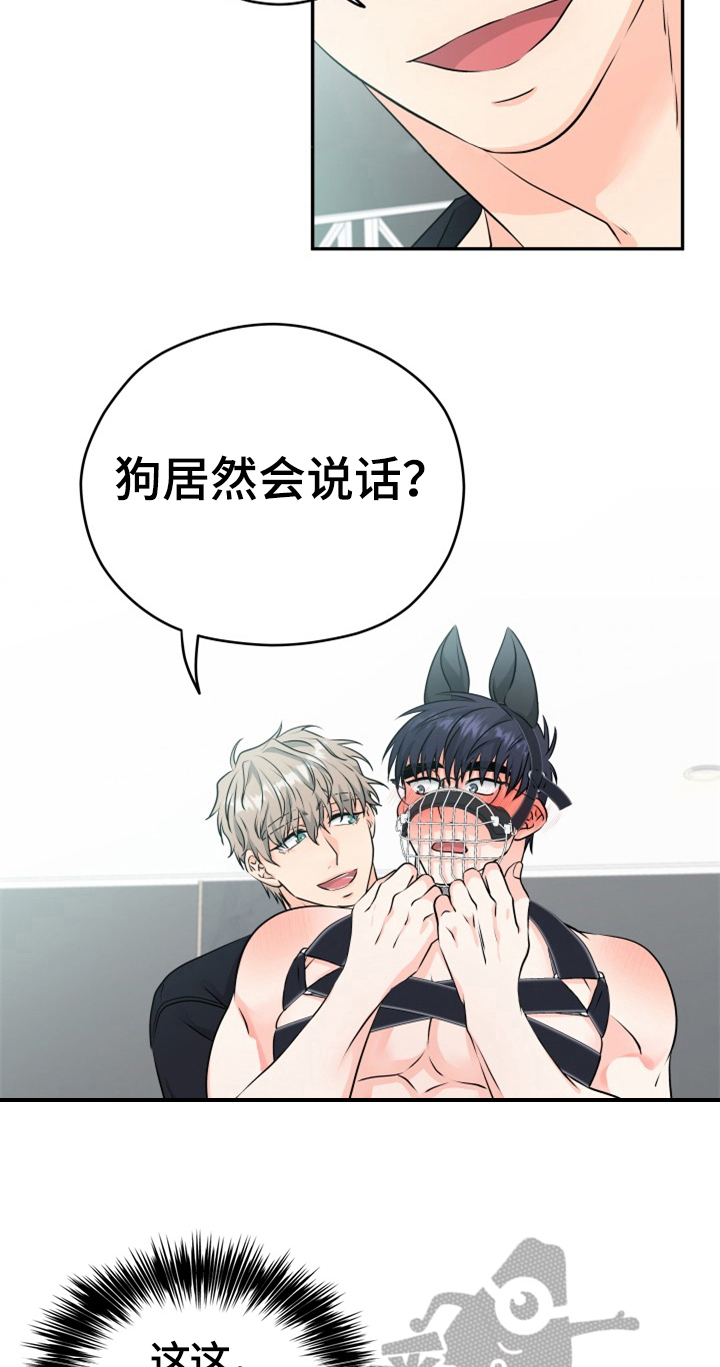 第11章：合适4